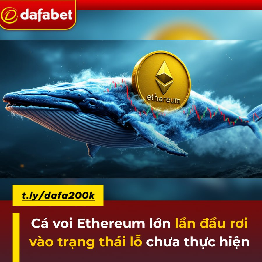 1771849051925.png