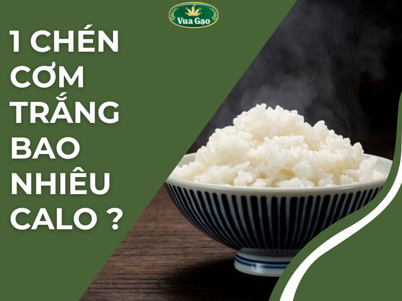 1_chén_cơm_trắng_chưa_bao_nhiêu_calo (1).jpg