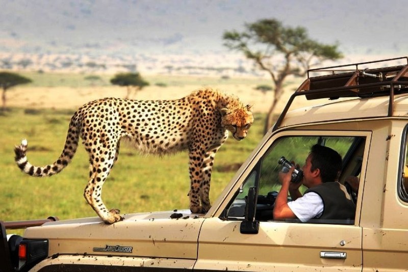 5 best of the best parks for African safari tours Tanzania.jpg