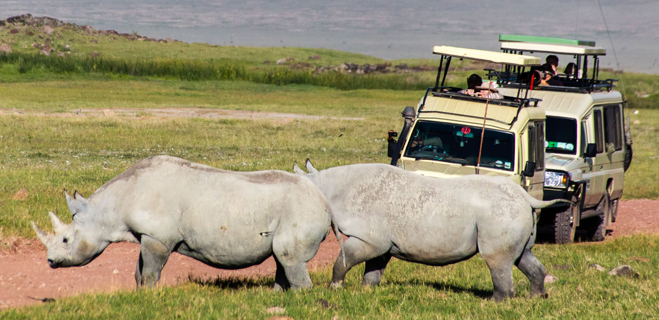 7 Day Serengenti Ngorongoro tour with Uganda gorilla safari.jpg