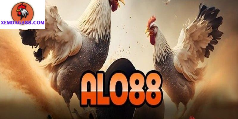 alo88-anh-dai-dien.jpg