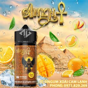 ANKH-Ra-100ml-01-DJ-0971.829.269-300x300.jpg