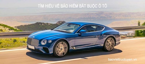 baoviet.jpg