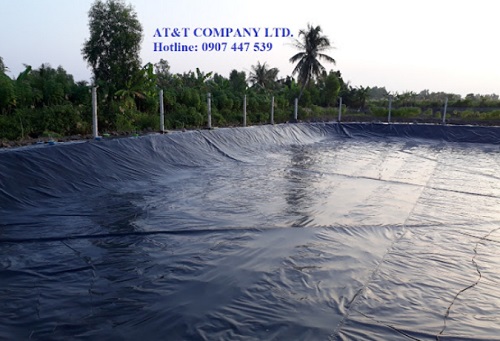 bat hdpe.jpg