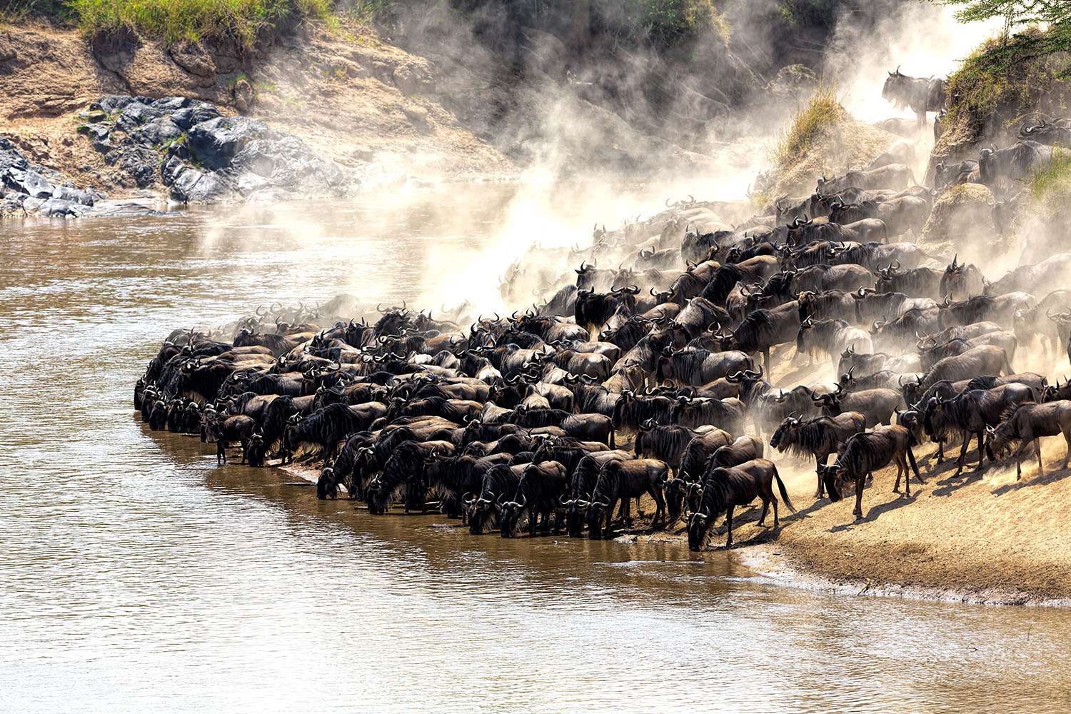 Best 5 locations for great migration on Tanzania safari in Serengeti.jpg