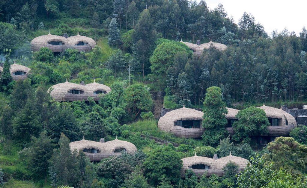 Best 7 Eco Lodges for Safari Tours in Rwanda.jpg
