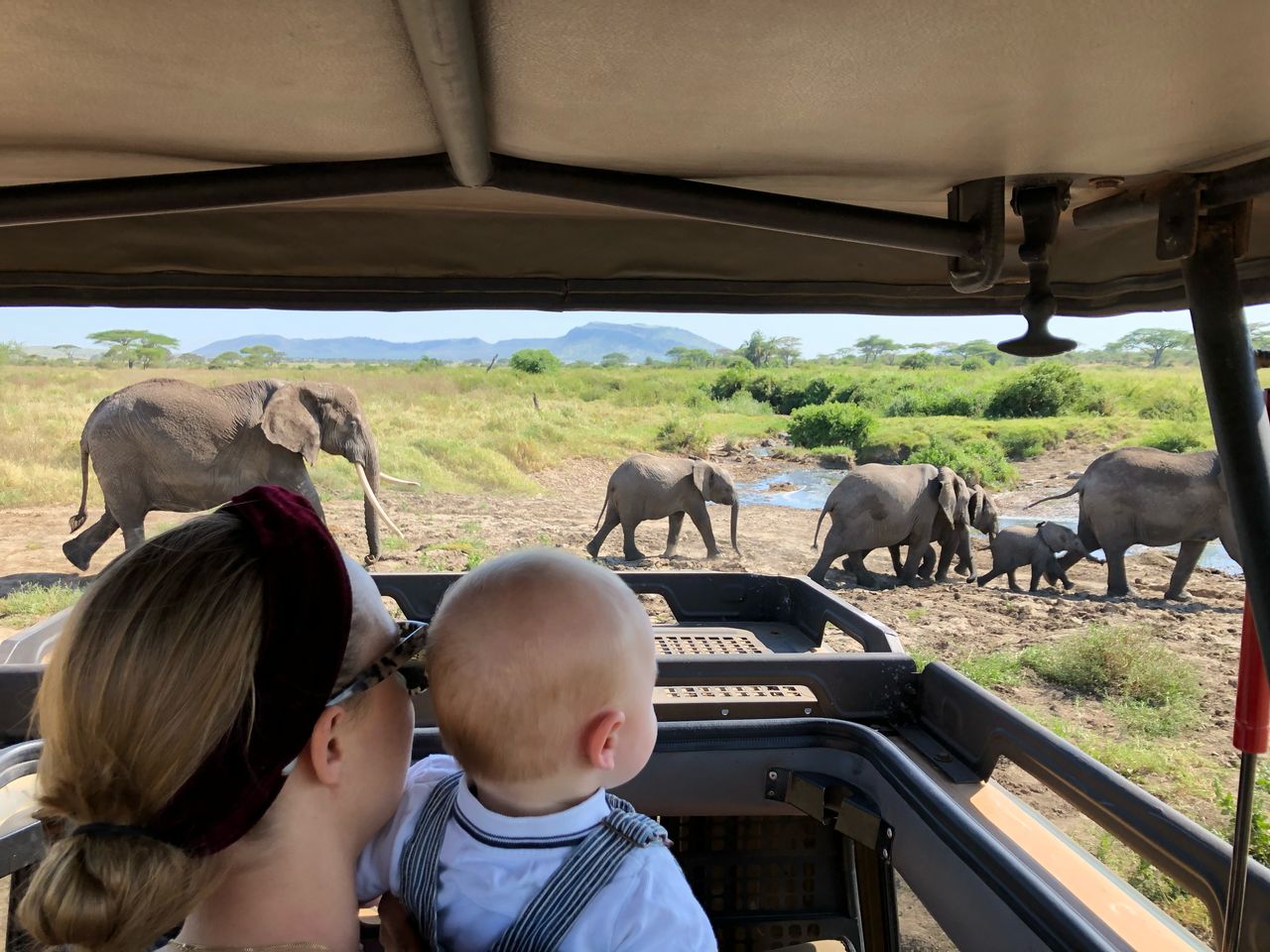 Best Attractions to See on Tanzania Safari.jpeg