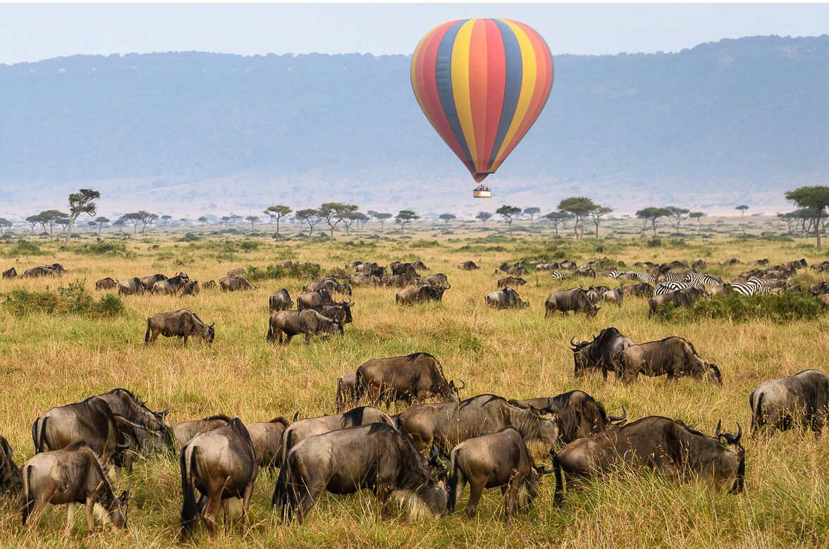 Best Pro Tips for Booking Tanzania Safaris for First-Time Visitors.jpeg