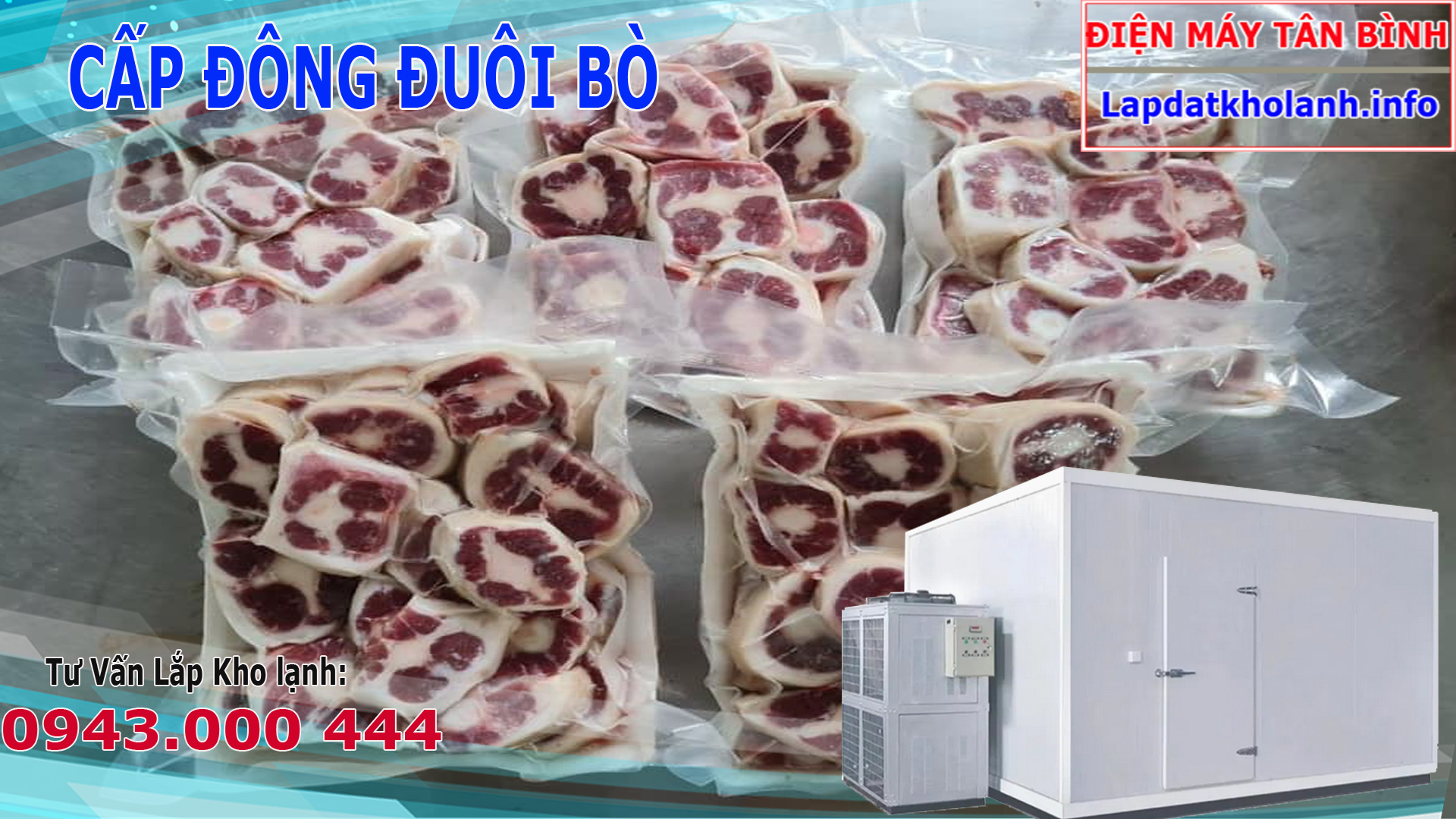 CẤP ĐÔNG ĐUÔI BÒ.jpg