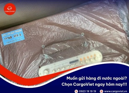 cargo viet7.jpg