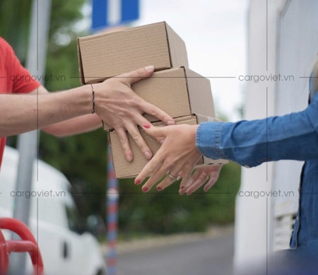 cargoviet3.jpg
