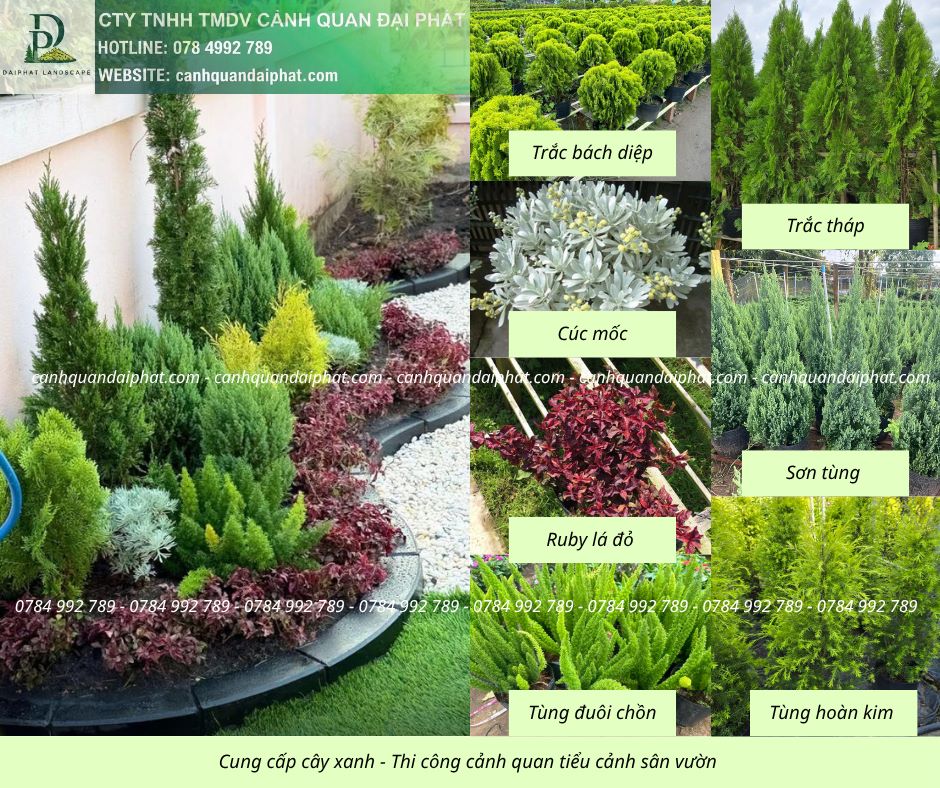 Cung cấp thi công tiểu cảnh sân vườn 210426 1.jpg