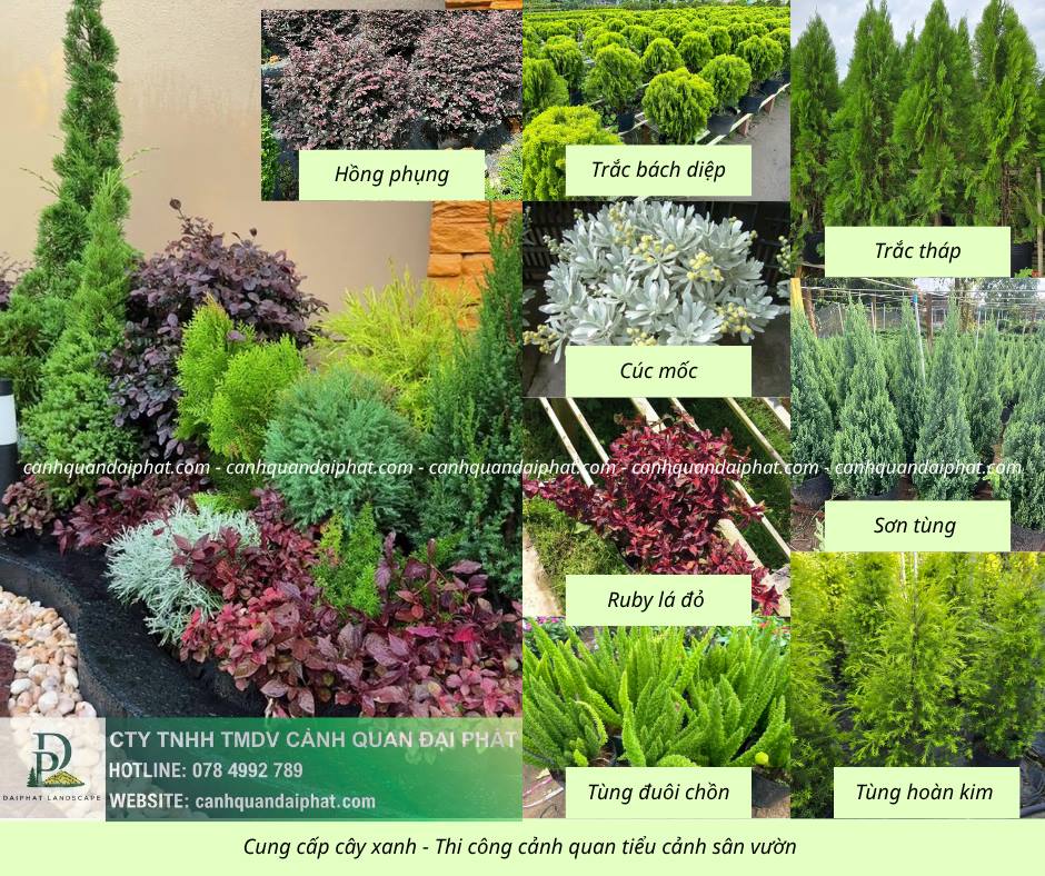 Cung cấp thi công tiểu cảnh sân vườn 210426 2.jpg