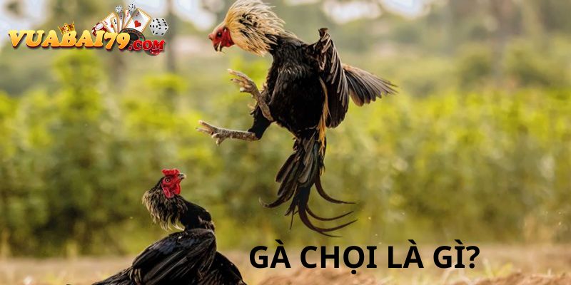 da-ga-choi-vegas79-2.jpg
