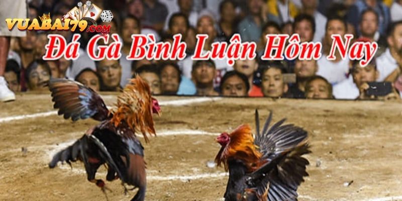 da-ga-truc-tiep-binh-luan-vien-vegas79-2.jpg