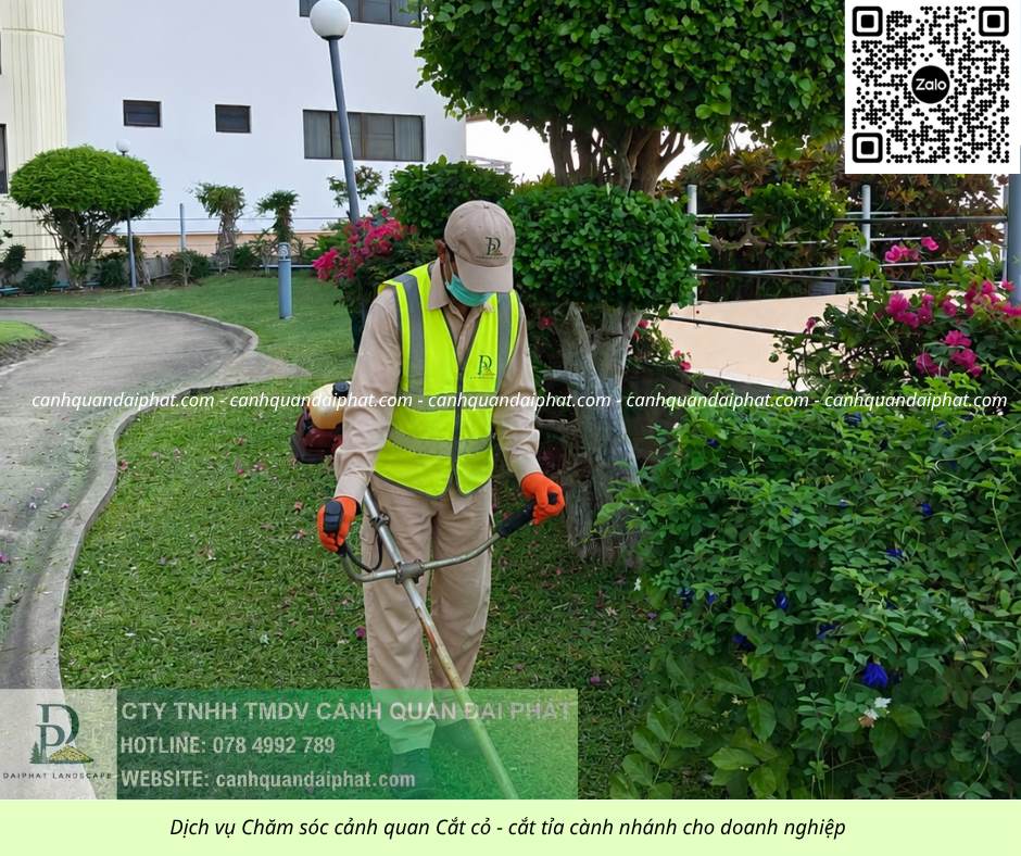 Dịch vụ chăm sóc cây xanh - cắt cỏ doanh nghiệp đồng nai 270526 6.jpg