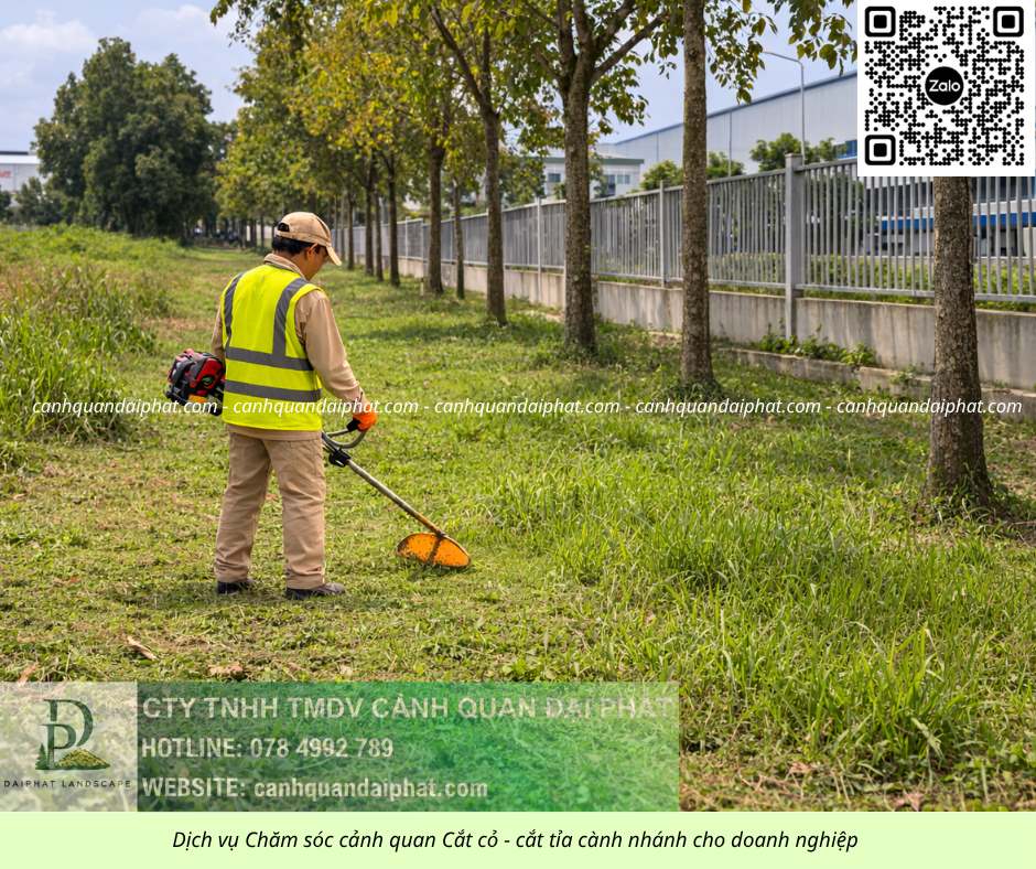 Dịch vụ cưa cây cắt cỏ doanh nghiệp đồng nai 050226 8.jpg