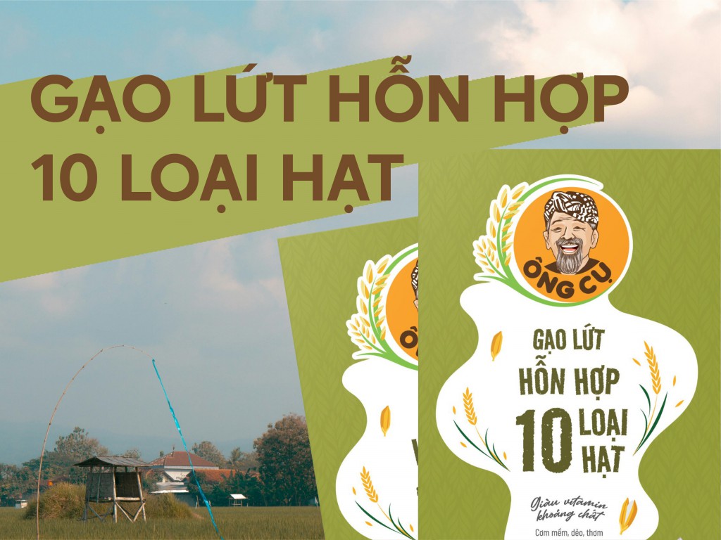 gao-lut-hon-hop-10-loai-hat (1).jpg