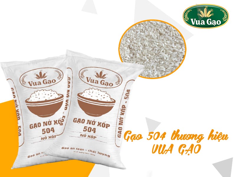 gạo_504_là_gì (3).jpg