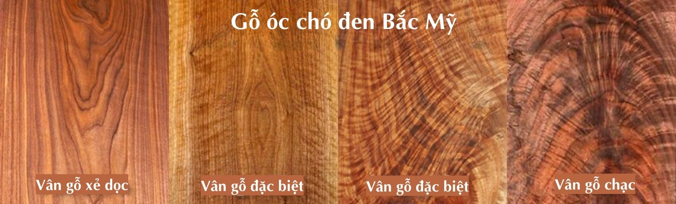 Go-oc-cho-.jpg
