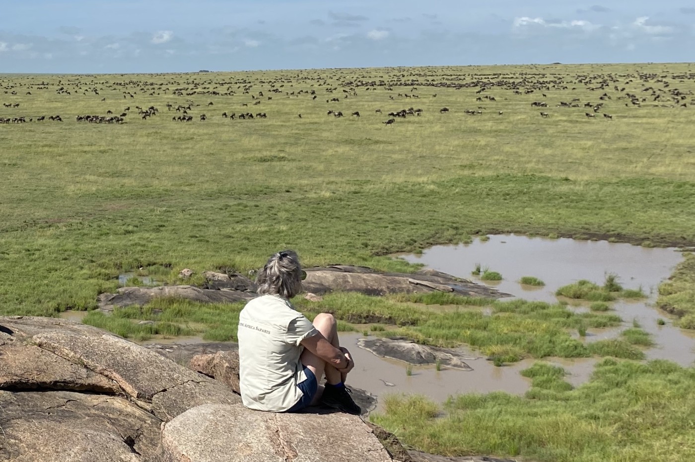 How much do you need to safari for Serengeti tours tanzania.jpg
