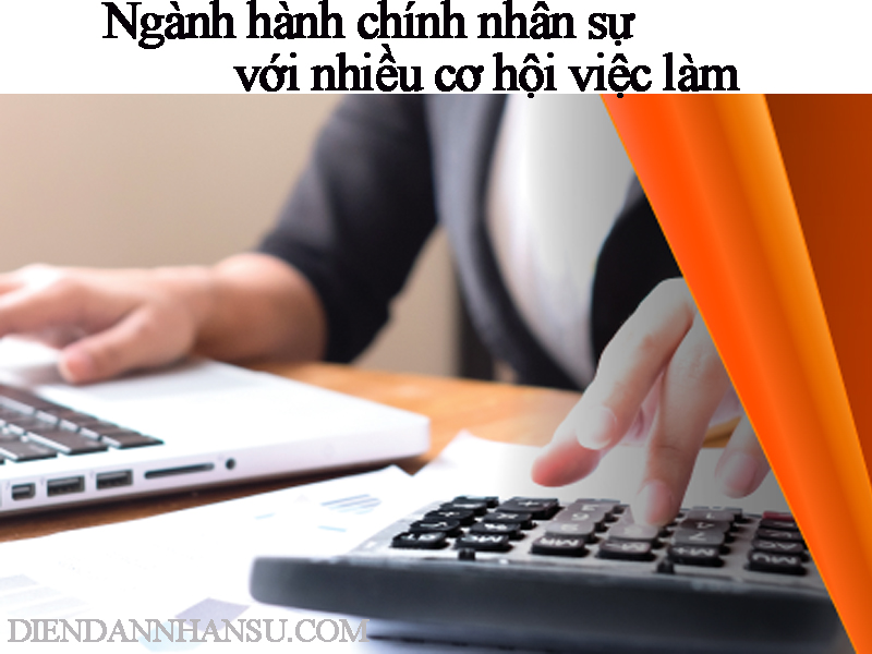 nganh-hanh-chinh-nhan-su-voi-nhieu-co-hoi-viec-lam.jpg