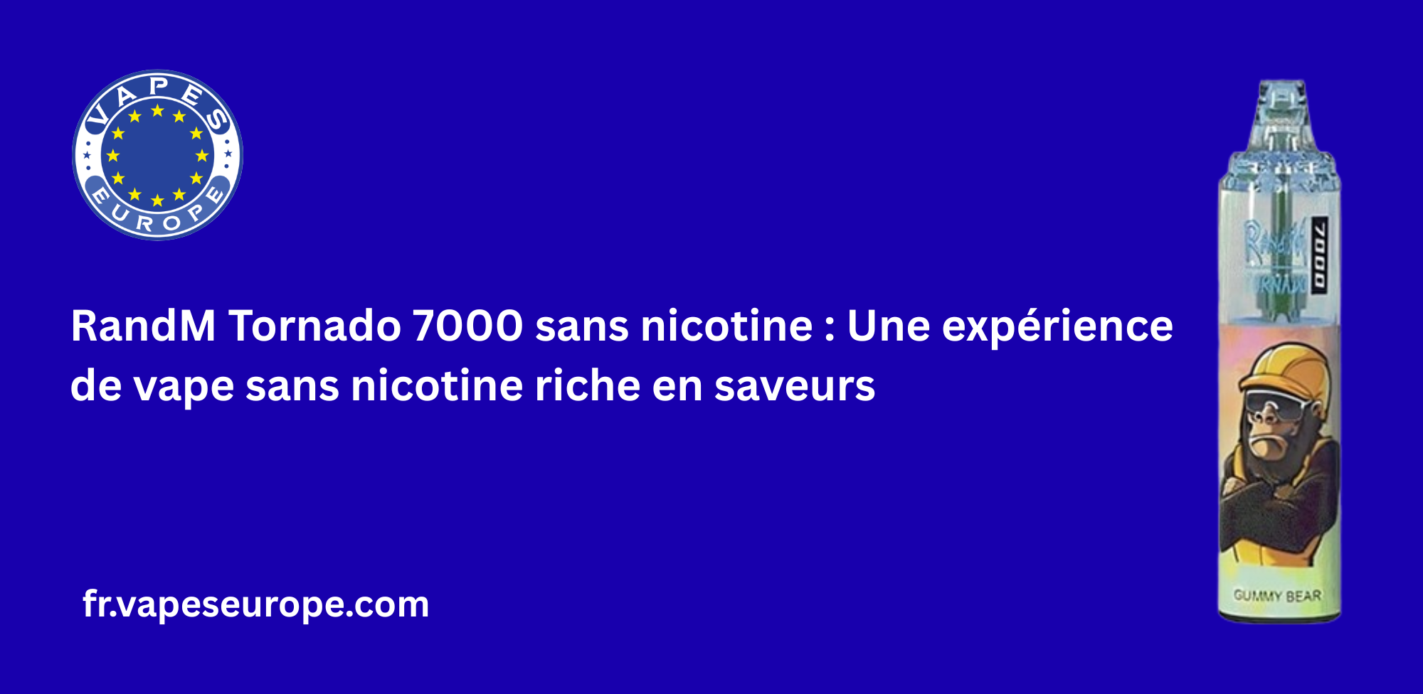 Quelles sont les meilleures ventes de 12000 Puffs Vapes dans l'UE  Top Picks pour 2025 (8).png