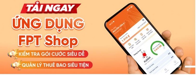 Sim fpt2.jpg