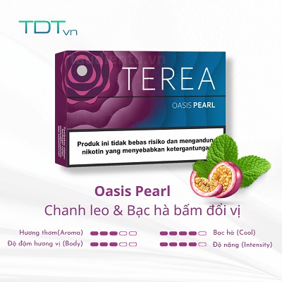 taudientu3.jpg