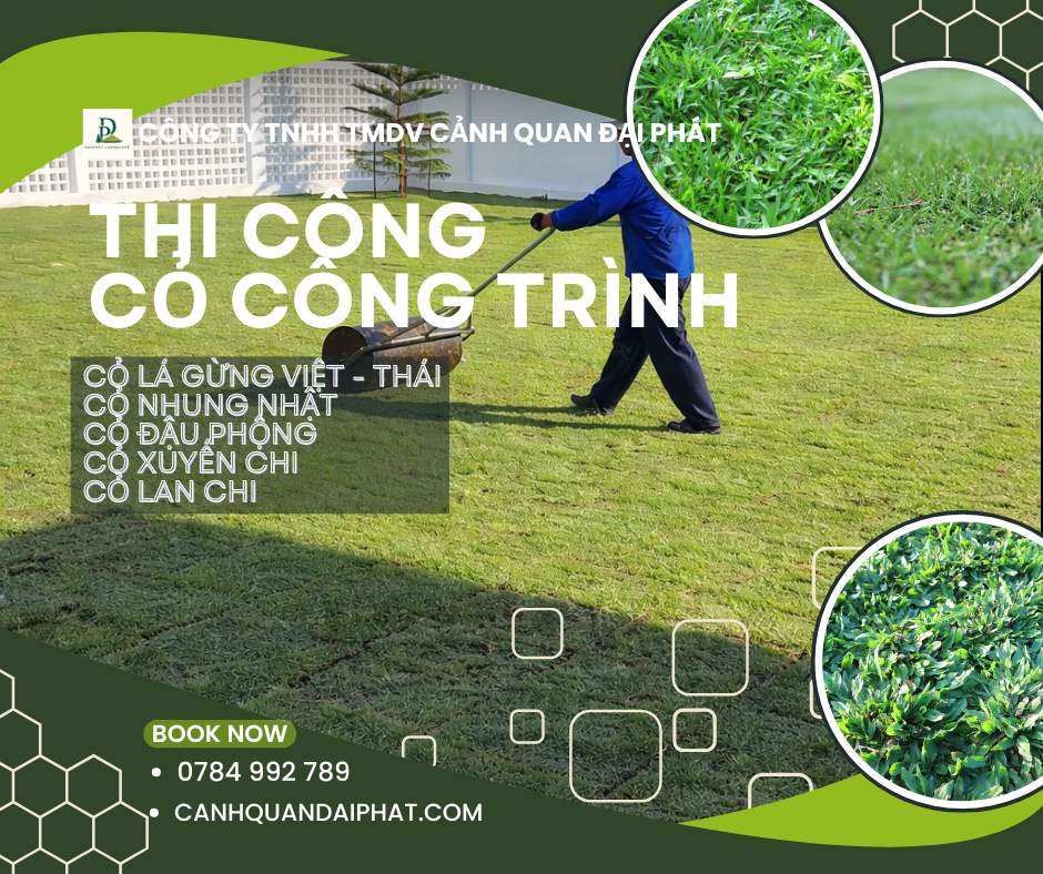 thi công cỏ nhung nhật nhà máy nhà xưởng Đồng Nai 7.jpg
