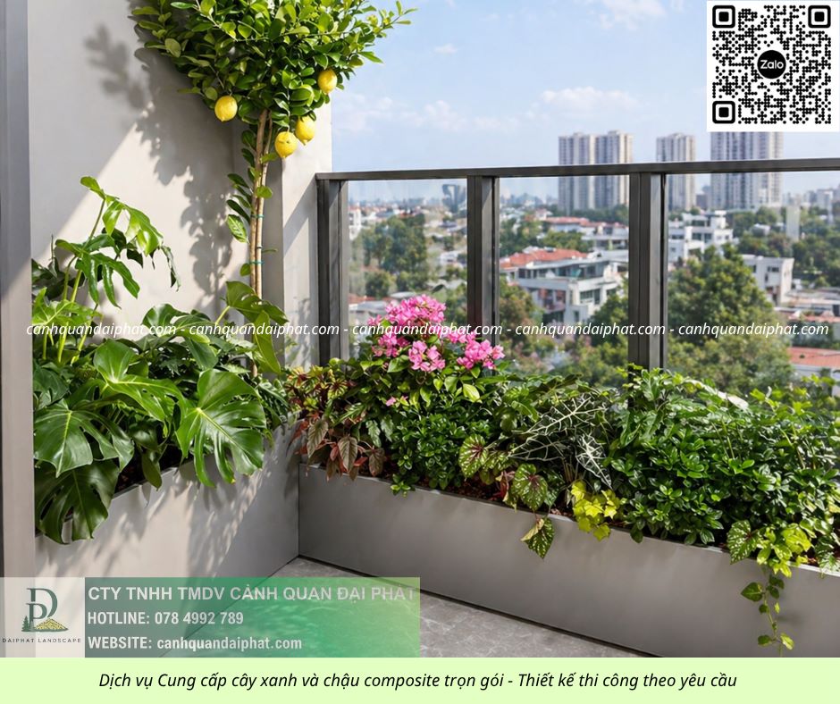 Thiết kế thi công cây xanh ban công - chậu composite 30426 3.jpg