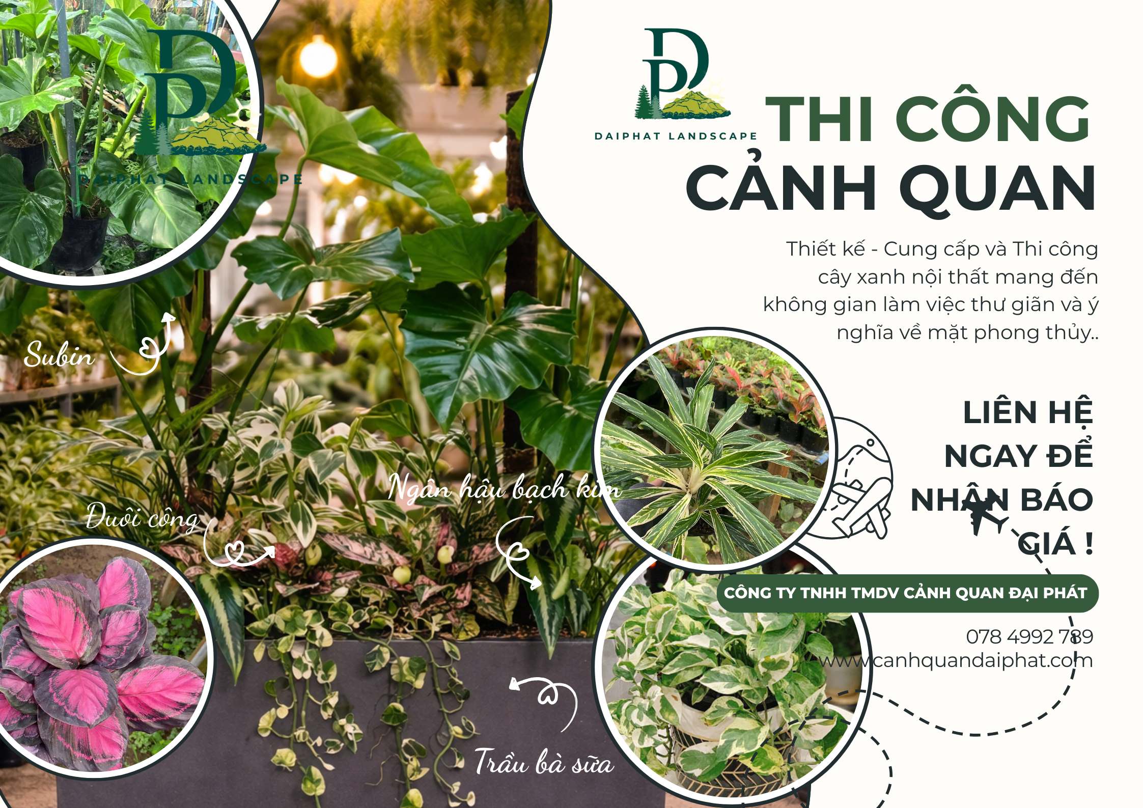 Thiết kế Thi công cây xanh văn phòng quán cafe 120226 1.jpg