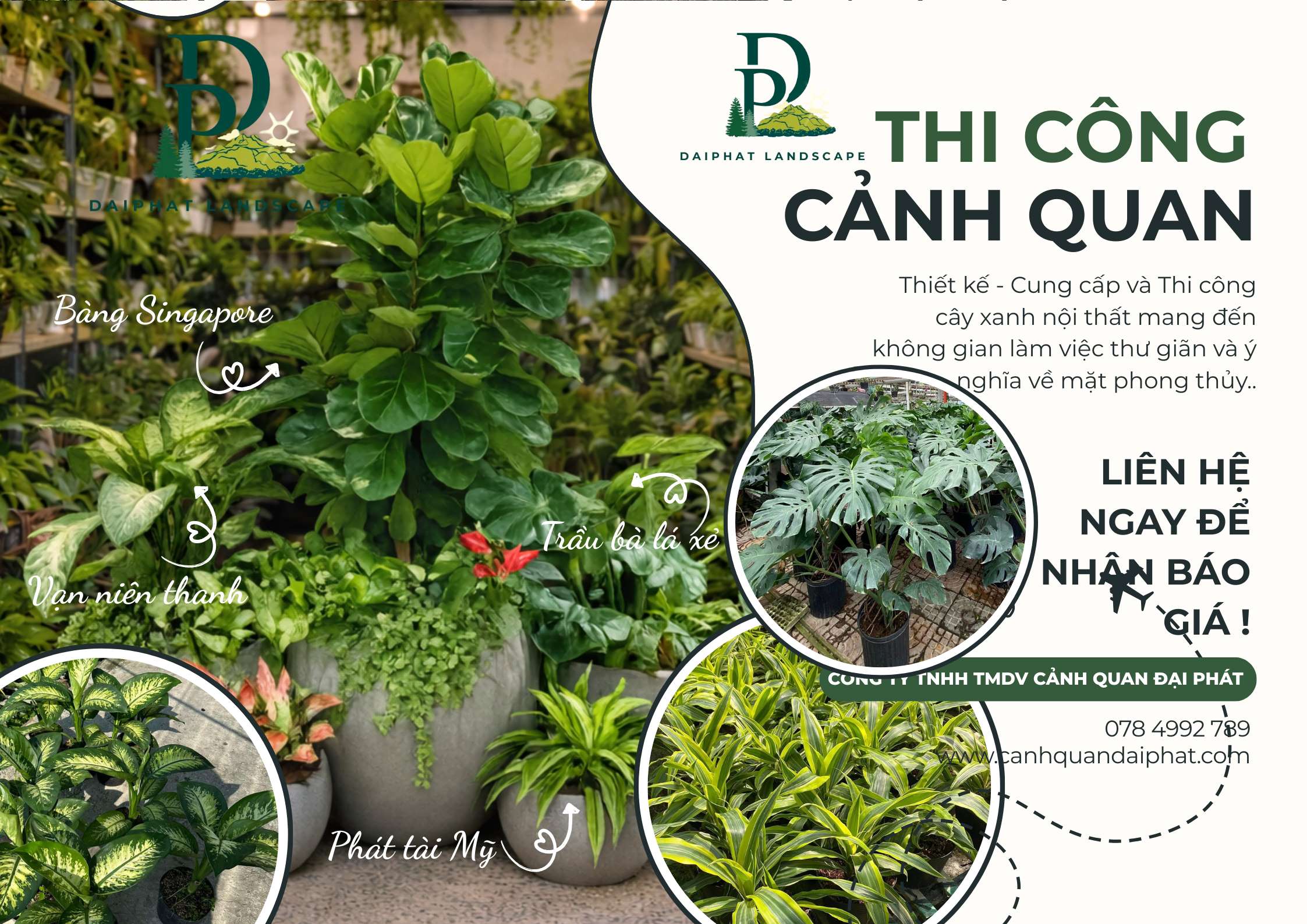 Thiết kế Thi công cây xanh văn phòng quán cafe 120226 4.jpg