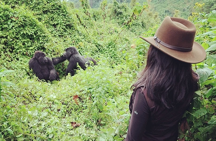 Top 8 Tips for Planning Your First Rwanda Gorilla Trek.jpg