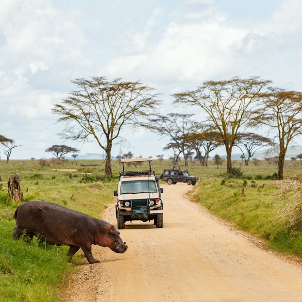 Top Rated Tanzania Safari Adventures Now.jpg