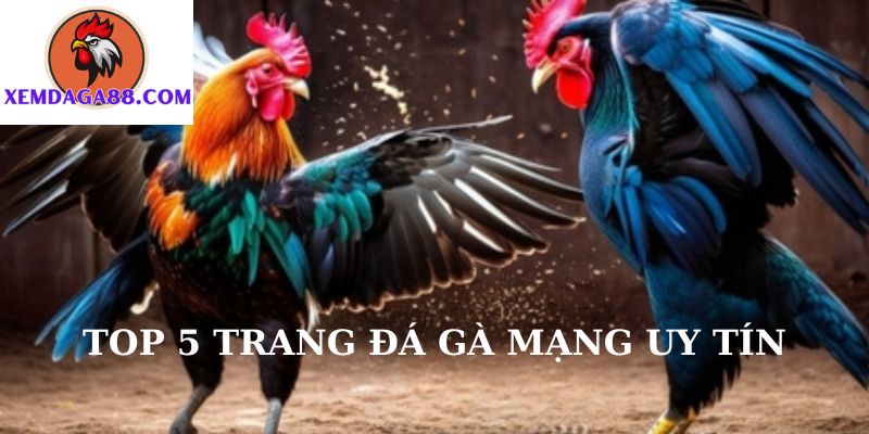 trang-da-ga-mang-anh-dai-dien.jpg