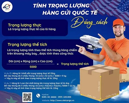 vietcargo link 1.jpg