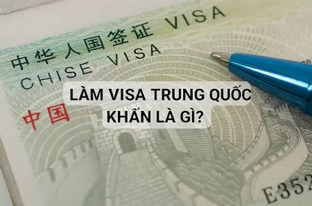 vietcargo link 4.jpg vietcargo link 4.jpg
