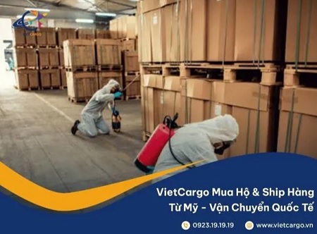 vietcargo2.jpg