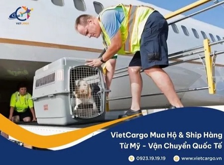 vietcargo3.jpg