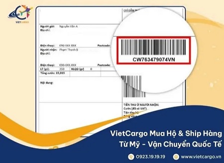 vietcargo4.jpg