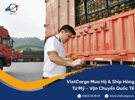 vietcargo8.jpg
