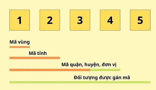 vietcargot3-4.jpg
