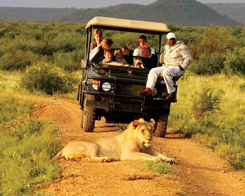 What is the cheapest way to do a Tanzania safari.jpg