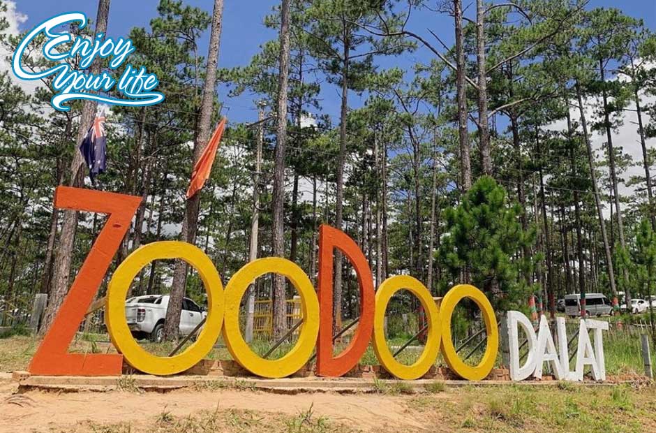 Zoodoo-Ava.jpg