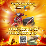THA_RED-_YELLOW_600x600.png