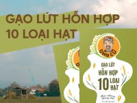 gao-lut-hon-hop-10-loai-hat (1).jpg