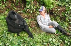 Best Moments Traveller Shouldn't Miss with Rwanda Gorillas.jpg