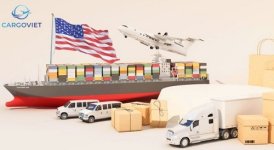 cargoviet.jpg
