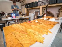 Tobacco Leaves for sale online.jpg